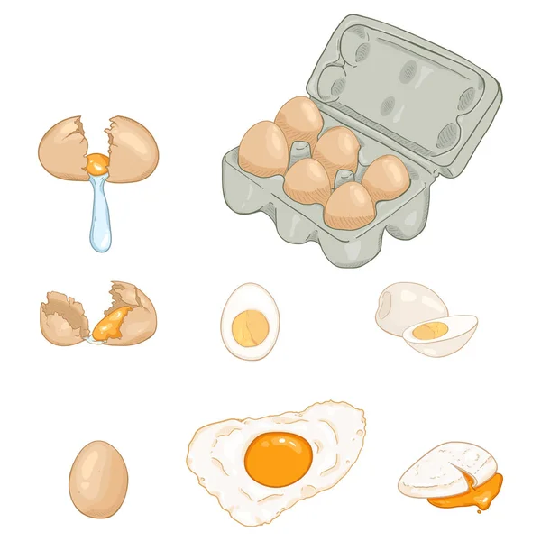 Conjunto Vetores Ilustrações Ovos Desenhos Animados — Vetor de Stock