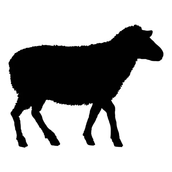 Vector Silhouette Sheep Illustration Seitenansicht — Stockvektor