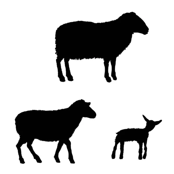 Vector Black Silhouettes Ram Sheep Lamp — Stock Vector