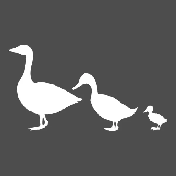 Duck Goose Duckling Set Vettoriale Illustrazione Silhouette Bianca — Vettoriale Stock