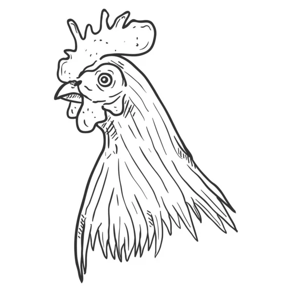 Vector Sketch Rooster Head White Background - Stok Vektor