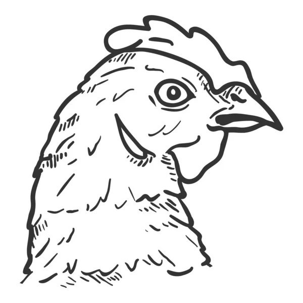 手描きヘンスヘッド 鶏のベクトルスケッチイラスト — ストックベクタ