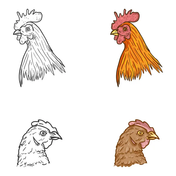 Vektor Set Wajah Hen Dan Rooster Ilustrasi Kartun Dan Sketch - Stok Vektor