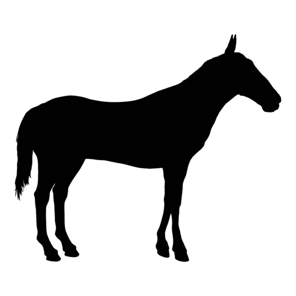 Silhouette Vectorielle Cheval Debout — Image vectorielle