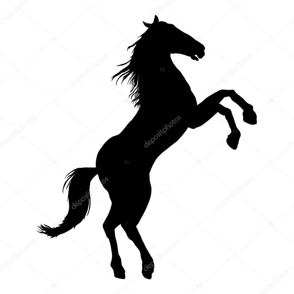 Vector Black Silhouette Rearing Horse