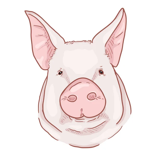 Vector Cartoon Pig Face Pohled Zepředu — Stockový vektor