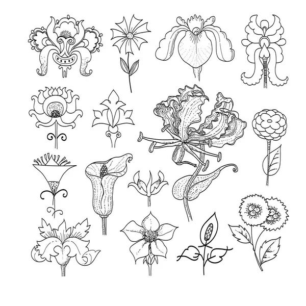 Fiori botanici floreali in lino vettoriale. Inchiostro inciso in bianco e nero art. Elemento di illustrazione isolato lino su sfondo bianco . — Vettoriale Stock