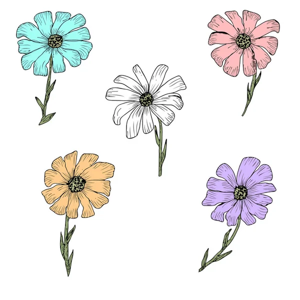 Vektör çiçek ayarlayın. Yapraklar ve çiçekler ile renkli çiçek toplama — Stok Vektör