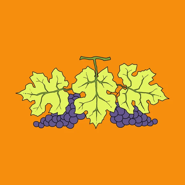 Bunch of wine grapes with leaf flat purple vector — 스톡 벡터