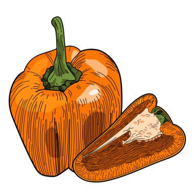 Whole yellow bell pepper bulgarian with half, flower and leaves isolated on white background. 