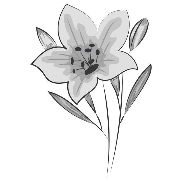 Blomsterteckning med linje-art på vit bakgrund. — Stock vektor
