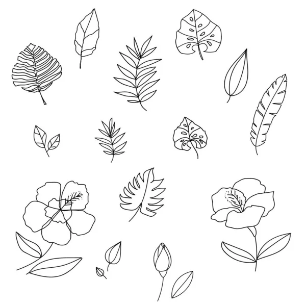 Набор стилизованных тропических растений, листьев и цветов . — стоковый вектор