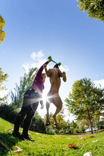 Žena hrající se psem v parku — Stock fotografie