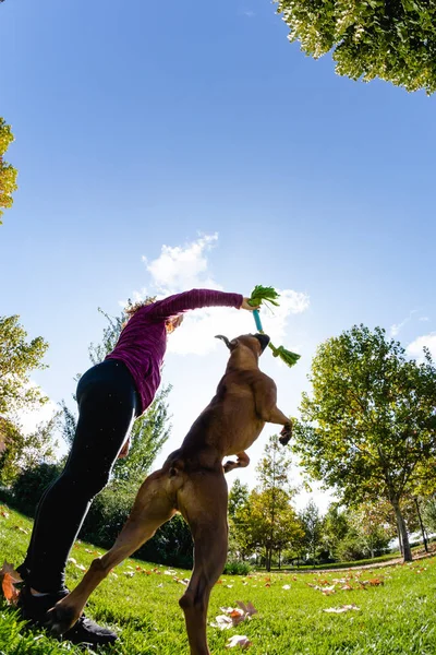 Donna che gioca con il cane nel parco — Foto Stock