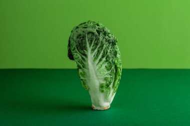 Taze olgun çünkü yeşil arka planda marul var.