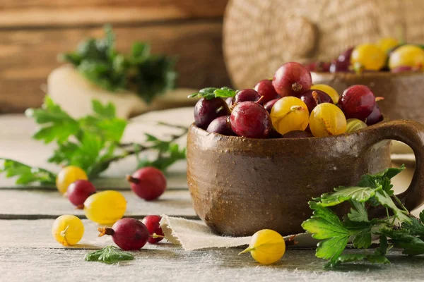 Frische Stachelbeeren in einer Schüssel — Stockfoto