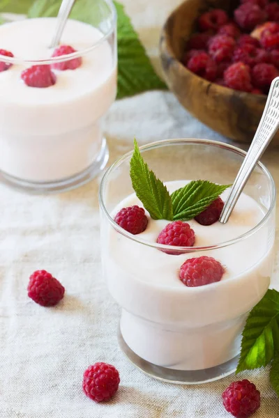 Hausgemachter Bio-Joghurt — Stockfoto