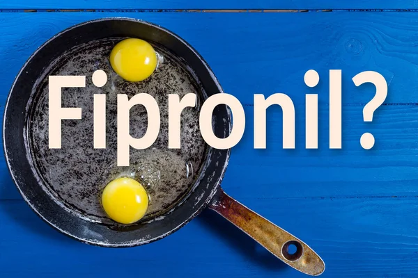 Œufs brouillés dans une poêle et l'inscription fipronil — Photo