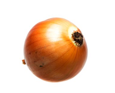 Beyaz arkaplanda yay izole edildi.