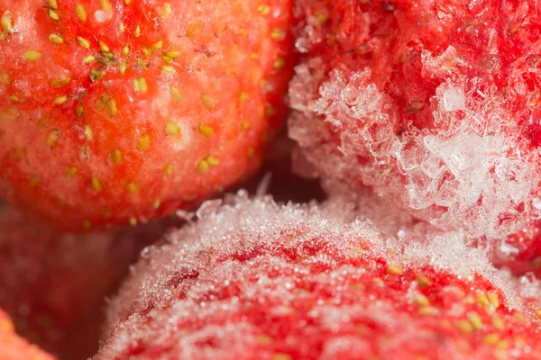 Bevroren aardbeien met daglicht — Stockfoto
