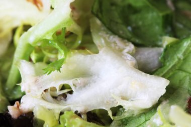 Yeşil salata - sağlık kaynağı.