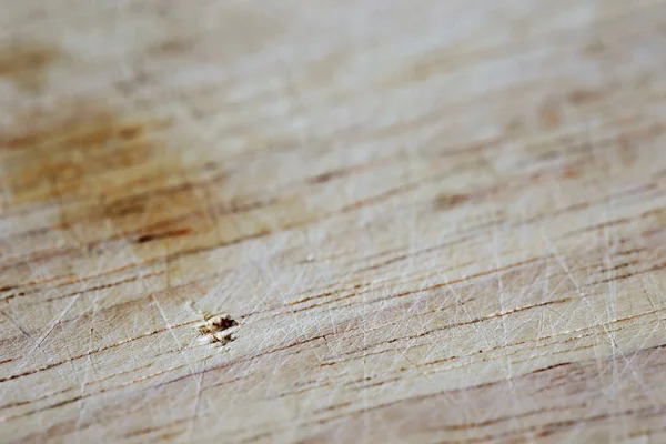 Alan derinliği etkisi ile kesme tahtası.