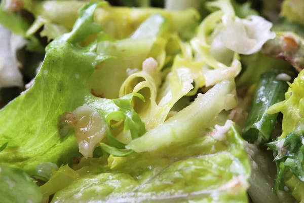Yeşil Salata Sağlık Kaynağı — Stok fotoğraf