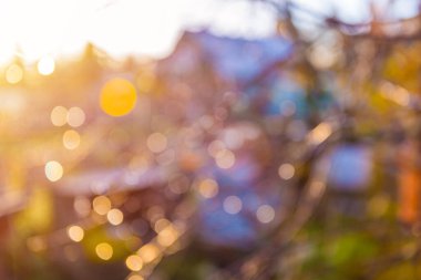 Sonbahar aylarında yağmurdan veya çiğ taneciklerinden sonra sabahın erken saatlerinde, bokeh efektli ve bulanık, soyut renkli doğal arkaplan...