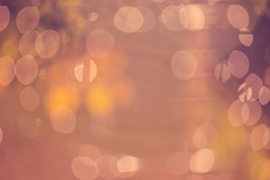 Sonbahar aylarında yağmurdan veya çiğ taneciklerinden sonra sabahın erken saatlerinde, bokeh efektli ve bulanık, soyut renkli doğal arkaplan...