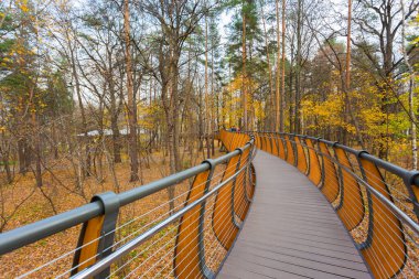 Vdnh Parkı 'ndaki sonbahar ormanı boyunca hava ekolojik patikası