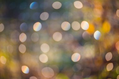 Sonbahar aylarında yağmurdan veya çiğ taneciklerinden sonra sabahın erken saatlerinde, bokeh efektli ve bulanık, soyut renkli doğal arkaplan...