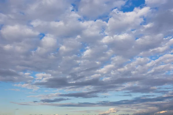 Vita Strukturerade Moln Azurblå Himmel Kontrasterande Sommar Naturlig Bakgrund Stockbild