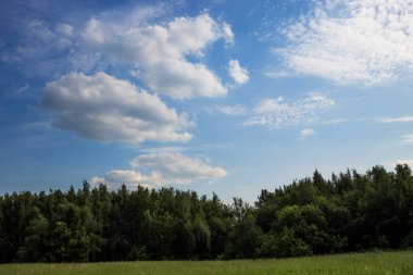Orman ve bulutlarla dolu yaz manzarası.
