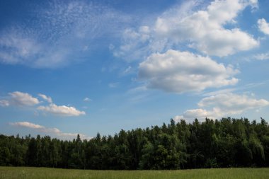 Orman ve bulutlarla dolu yaz manzarası.