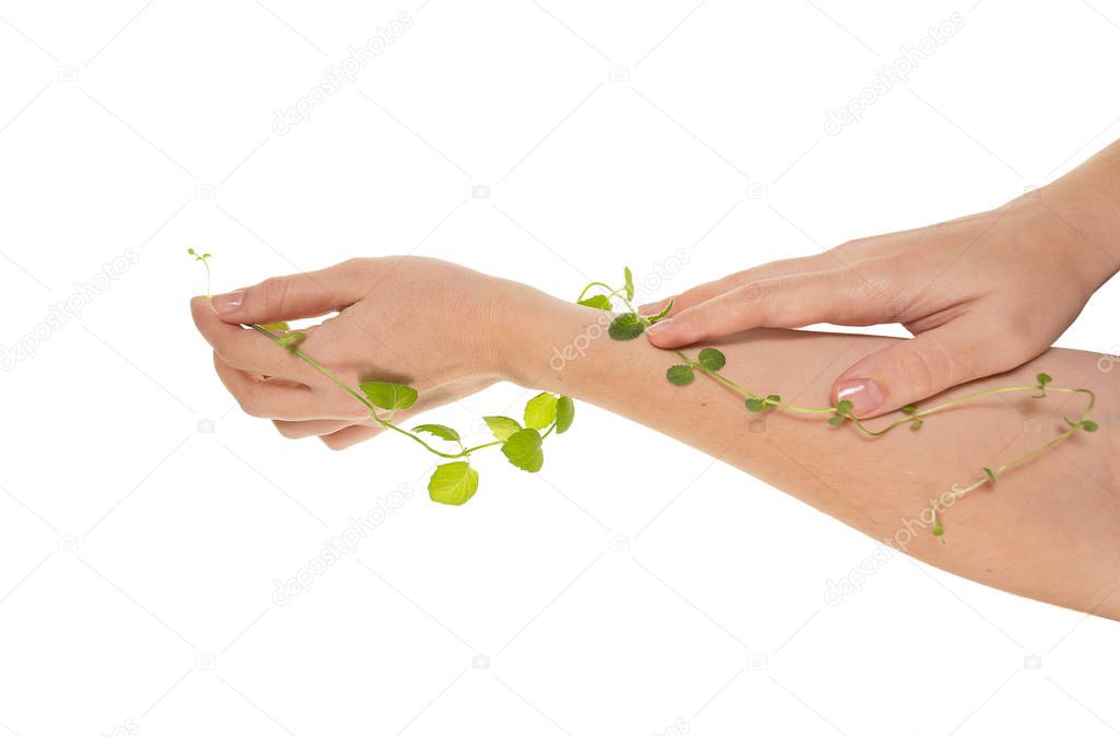 Girl holding hands on table with fruit, concept of cosmetic procedures and rejuvenation, mint and hands isolated on white background, photo for blogs and natural cosmetics