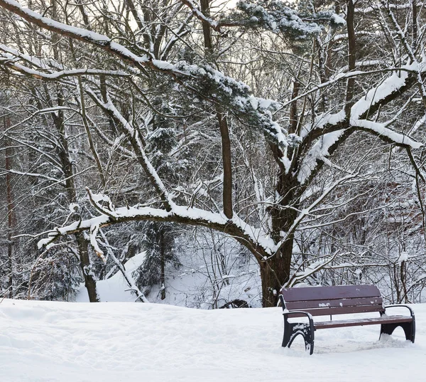 Winterlandschaft Russland Moskau — Stockfoto