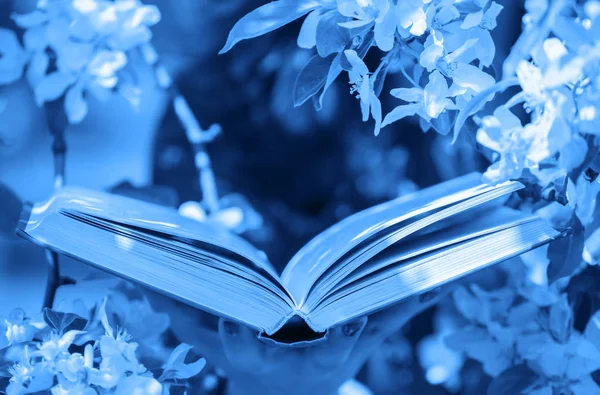 Classic blue style effect on open book in his hand and a blooming Apple orchard in the spring, toned