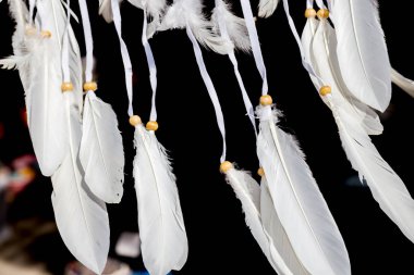 Feathers in the wind on a dark background