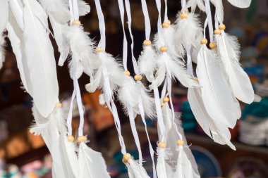 Feathers in the wind on a dark background