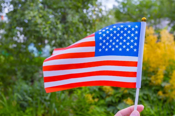 Elderly Male Pensioner Holding American Flag Background Greenery Flowers — Stock Photo, Image