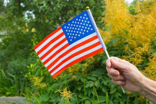 Idosos Pensionista Masculino Segurando Uma Bandeira Americana Fundo Vegetação Flores — Fotografia de Stock