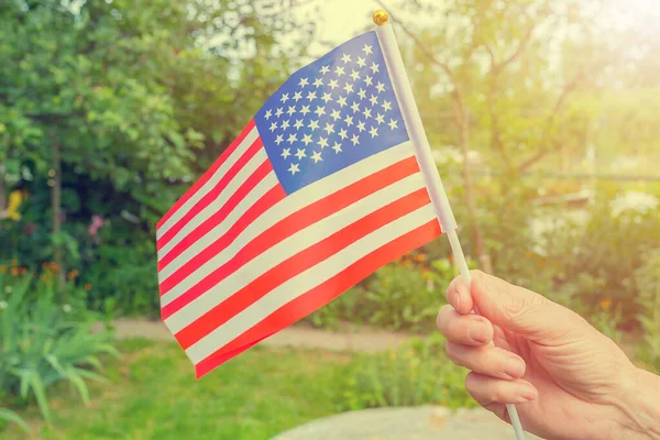 Elderly Male Pensioner Holding American Flag Background Greenery Flowers — Stock Photo, Image