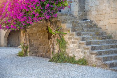 Merdivenlerin yanındaki çiçekli bougainvillea, Yunanistan 'ın Rodos adasındaki eski şehrin eski kalesi ve caddeleri. Gündüz vakti adanın cazibesi.