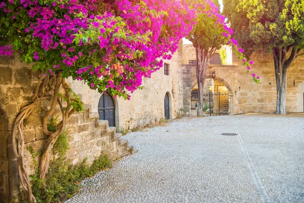 在希腊罗得岛的楼梯 中世纪的古堡和古城的街道旁边 盛开着鲜花 在阳光普照的日子里岛上的魅力 — 图库照片