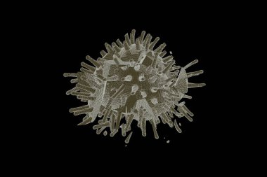 Kırılmış ya da hasarlı, zayıflamış virüs Coronavirus, salgın tıbbi geçmiş, covid 19 hastalık, soyut 3 boyutlu illüstrasyon, 3 boyutlu enfeksiyon, siyah üzerine izole edilmiş.