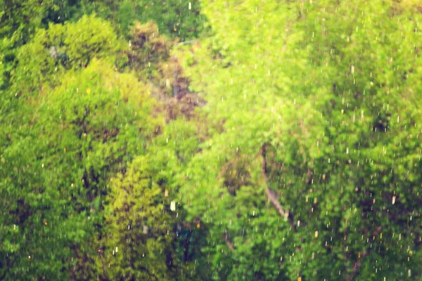 ぼんやりとしたぼんやりした春の夏の抽象的な背景にボケ効果がある — ストック写真