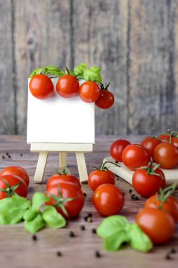 Domates ve bir tuval. 