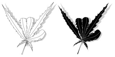 Beyaz arkaplanda izole edilmiş kenevir yaprağı