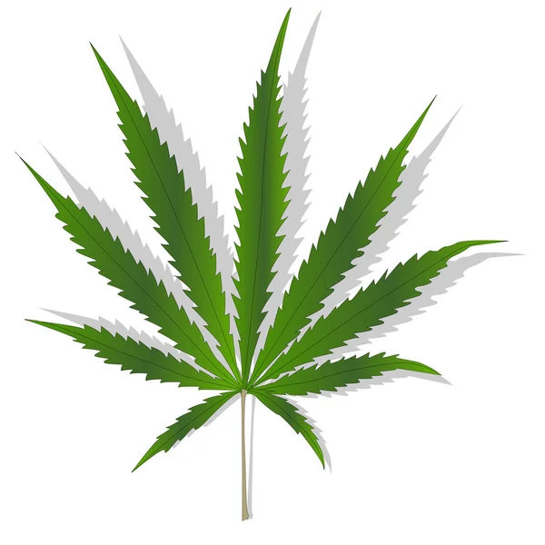 Vektor daun Cannabis terisolasi - Stok Vektor