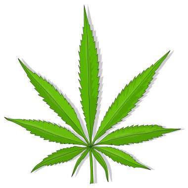 Esrar izole vektör yaprak